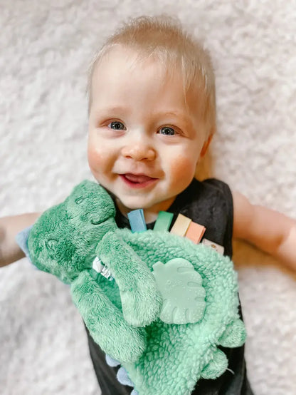 Dempsey the Dino - Itzy Friends Itzy Lovey™ Plush with Silicone Teether Toy