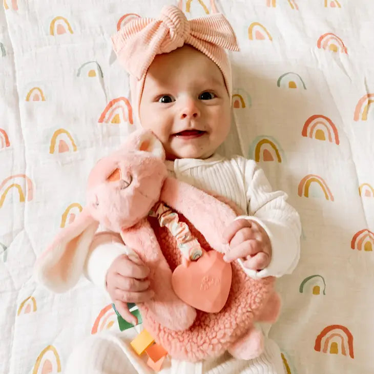 Ana the Bunny - Itzy Friends Itzy Lovey™ Plush with Silicone Teether Toy